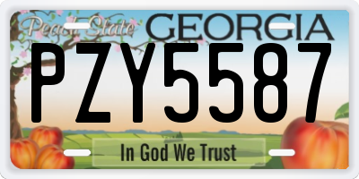 GA license plate PZY5587