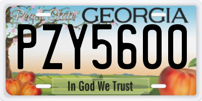GA license plate PZY5600