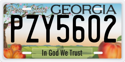 GA license plate PZY5602