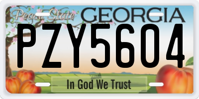 GA license plate PZY5604