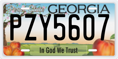 GA license plate PZY5607