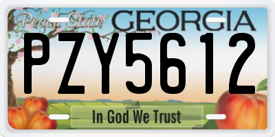 GA license plate PZY5612