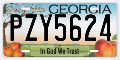GA license plate PZY5624