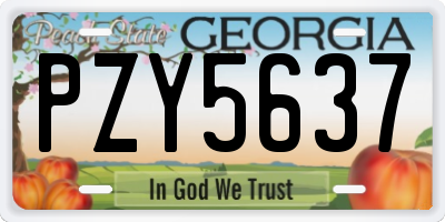 GA license plate PZY5637