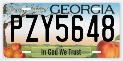 GA license plate PZY5648