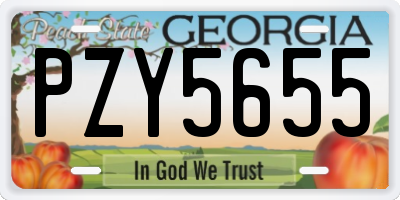 GA license plate PZY5655