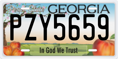 GA license plate PZY5659