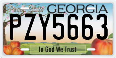 GA license plate PZY5663