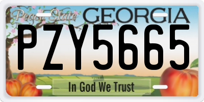 GA license plate PZY5665