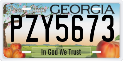 GA license plate PZY5673