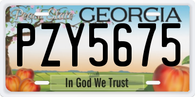 GA license plate PZY5675
