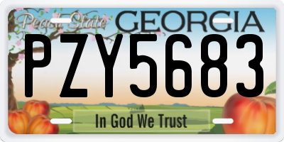GA license plate PZY5683