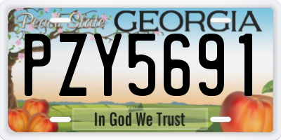 GA license plate PZY5691