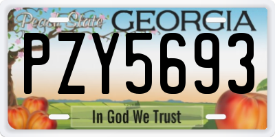 GA license plate PZY5693