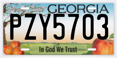 GA license plate PZY5703
