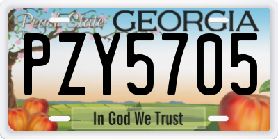 GA license plate PZY5705