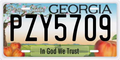 GA license plate PZY5709