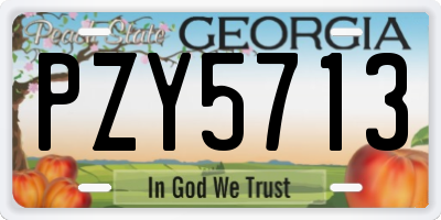 GA license plate PZY5713