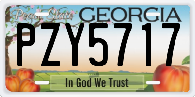 GA license plate PZY5717