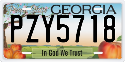 GA license plate PZY5718