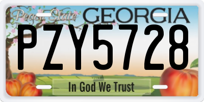 GA license plate PZY5728