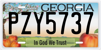 GA license plate PZY5737