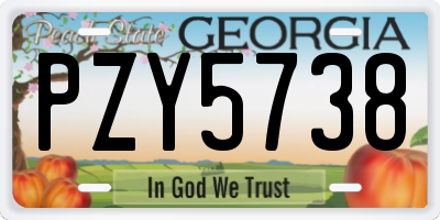 GA license plate PZY5738