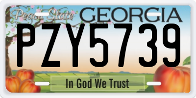 GA license plate PZY5739