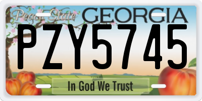 GA license plate PZY5745