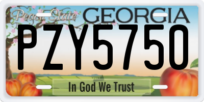 GA license plate PZY5750