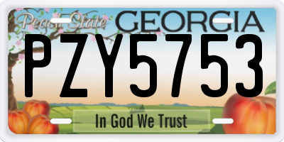 GA license plate PZY5753