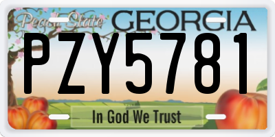 GA license plate PZY5781