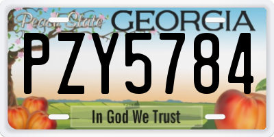GA license plate PZY5784