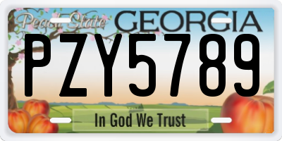 GA license plate PZY5789