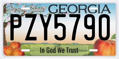 GA license plate PZY5790