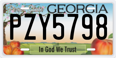 GA license plate PZY5798