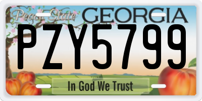 GA license plate PZY5799
