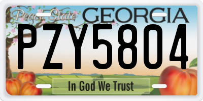 GA license plate PZY5804