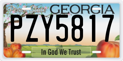 GA license plate PZY5817