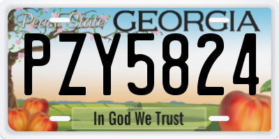 GA license plate PZY5824