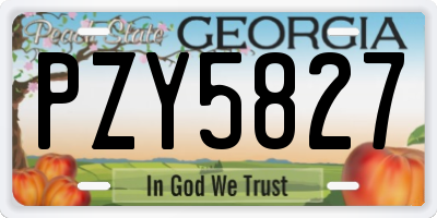 GA license plate PZY5827