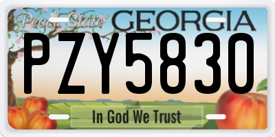 GA license plate PZY5830