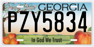 GA license plate PZY5834