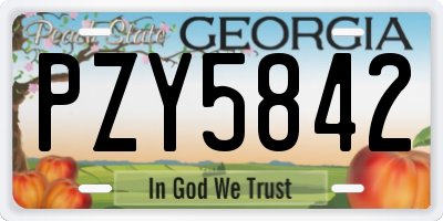GA license plate PZY5842