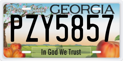 GA license plate PZY5857