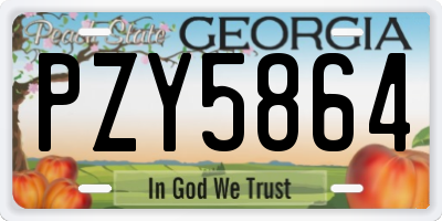 GA license plate PZY5864