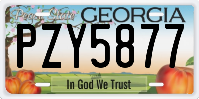 GA license plate PZY5877
