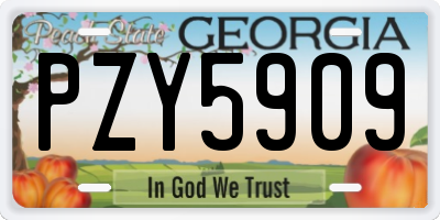 GA license plate PZY5909