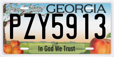 GA license plate PZY5913