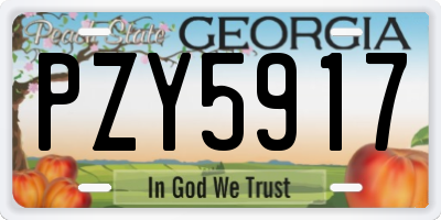 GA license plate PZY5917